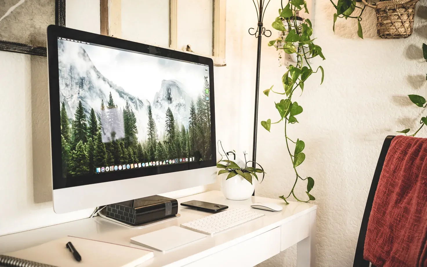 A calm workspace with a monitor, plants and daylight.